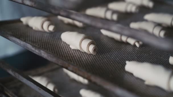 Bakken croissants op de oven racks. 4k — Stockvideo