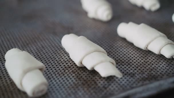 Proceso de poner croissants en bandeja para hornear 4K — Vídeos de Stock