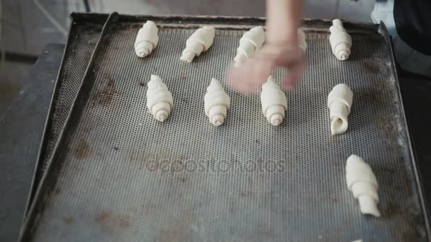 Proceso de poner croissants en bandeja para hornear 4K — Vídeos de Stock