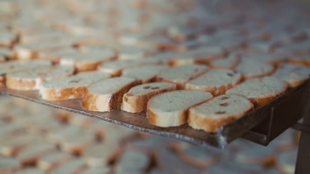 Крупним планом багато свіжих тостів з родзинками в 4K — стокове відео