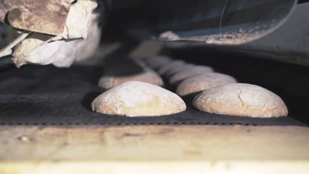 Hacer pan en una panadería con equipo en 4K — Vídeo de stock