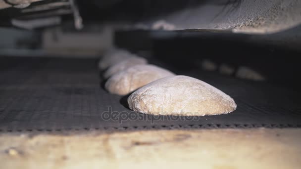 Παρασκευή ψωμιού σε ένα αρτοποιείο εξοπλισμό σε ανάλυση 4k — Αρχείο Βίντεο