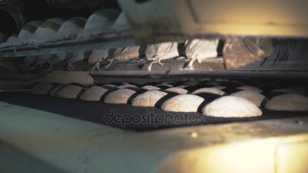 Het maken van brood in een bakkerij met apparatuur in 4k — Stockvideo
