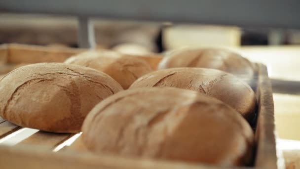 Close up of many fresh loafs of wheat bread 4K — Stock Video