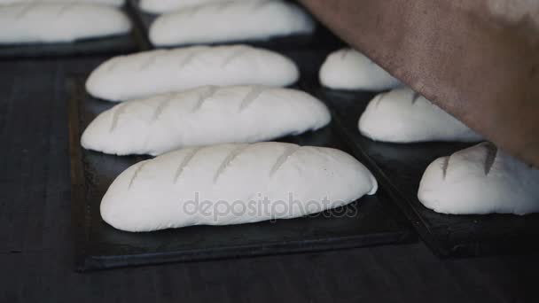 Preparando a massa de farinha para assar pães em 4K — Vídeo de Stock