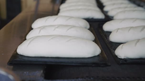 Preparando a massa de farinha para assar pães em 4K — Vídeo de Stock