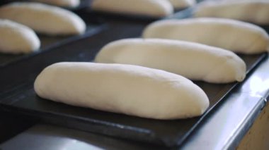 4 k ekmek pişirme için hamur hazırlama