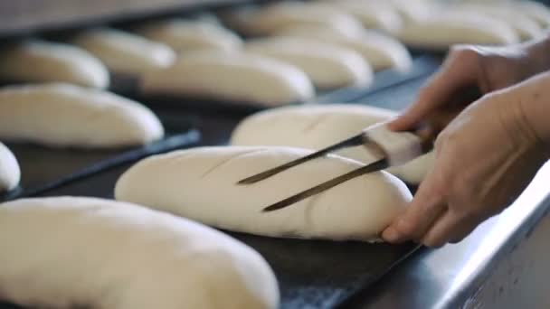 Preparing dough for baking breads in 4K — Stock Video