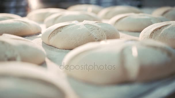 Proces voor het bakken van brood in 4k — Stockvideo