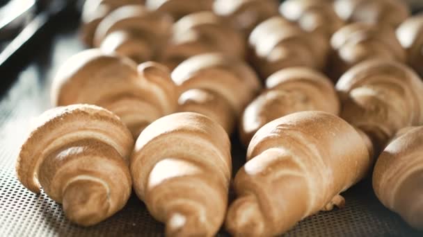 Dough made crescent rolls baking in the oven — Stock Video