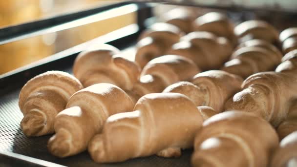 Crescent bakken broodjes in de oven in 4k — Stockvideo