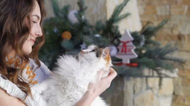 Güzel kız şişman kedi holding ve onu okşadı. Yavaş yavaş