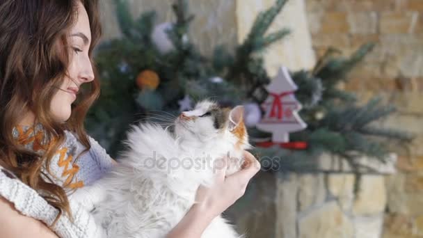 Красивая девушка держит жирного кота и ласкает его. Медленно. — стоковое видео