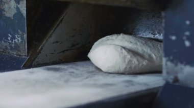 Buğday ekmek fırın konveyör üzerine hazırlama loafs