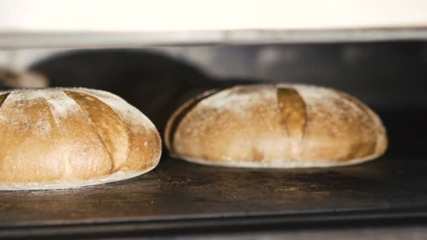 Detailní záběr z žitné chleby — Stock video