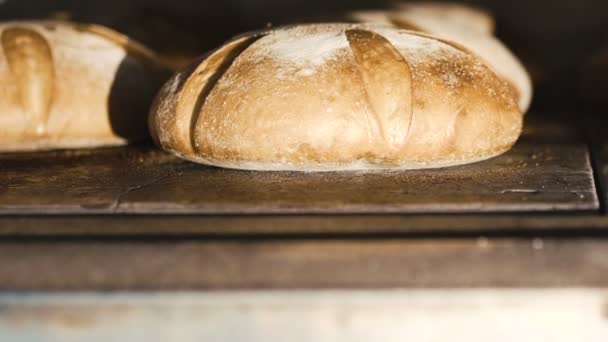 Nahaufnahme von Roggenbrot — Stockvideo