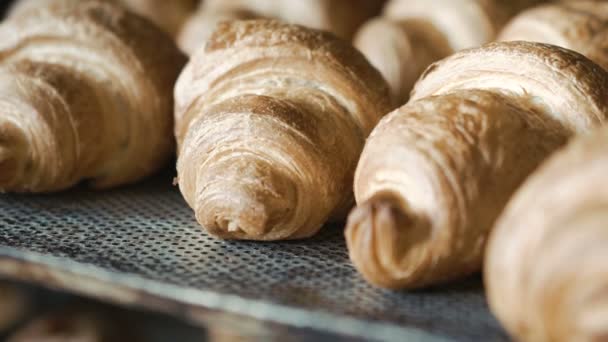 Fundo de croissants cozidos no forno — Vídeo de Stock