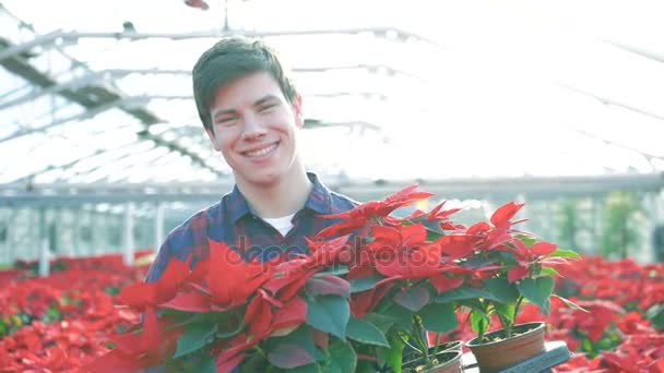 Gelukkige tuinman gonna camera, holding van rode bloemen en glimlachend 4k — Stockvideo