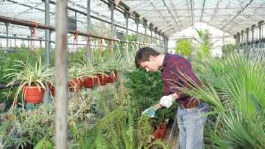 Gardenhouse 4 k Çiçeklik inceleyerek bahçıvan