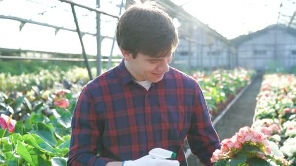 Gärtner begutachtet Blumen im Gartenhaus — Stockvideo