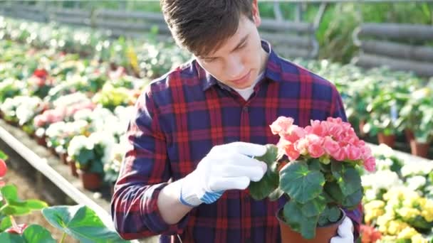 Jardinero examinando flores en el jardín 4K — Vídeos de Stock