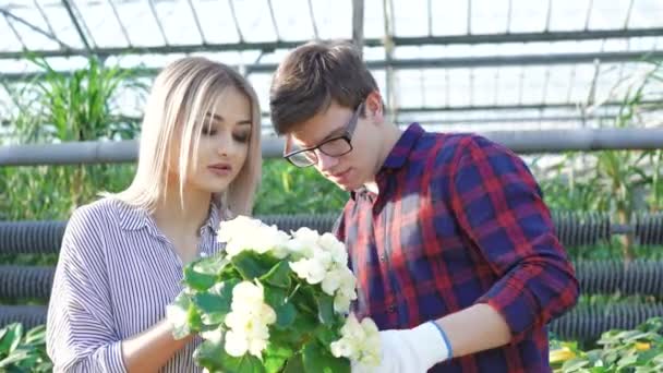 Jardineiros verificando vasos de flores em jardinagem 4K — Vídeo de Stock