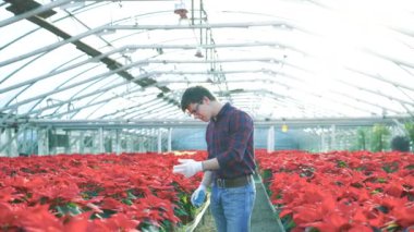 Gardenhouse 4 k kırmızı Çiçeklik inceleyerek bahçıvan