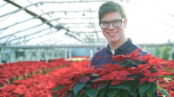 Gelukkige tuinman toont rode bloemen en lacht om camera 4k — Stockvideo