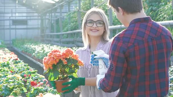 Heureux jardiniers pulvérisant des fleurs et souriant dans la maison de jardin. Doucement. — Video