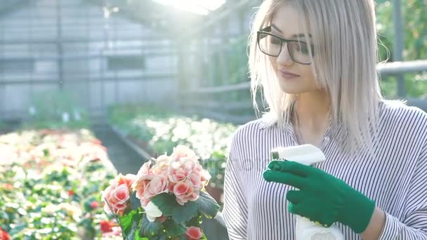 Jardinero femenino rociando flores en la jardinería. Despacio. — Vídeo de stock