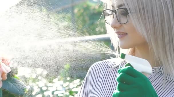 Jardinero femenino rociando flores en la jardinería. Despacio. — Vídeos de Stock