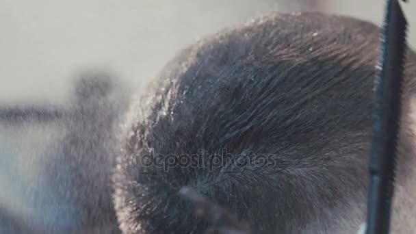 Weiblicher Haarschneider, der Mannshaar befeuchtet. langsam — Stockvideo
