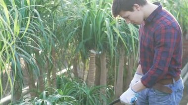 Bahçıvan sulama çiçekler ve ağaçlar gardenhouse içinde