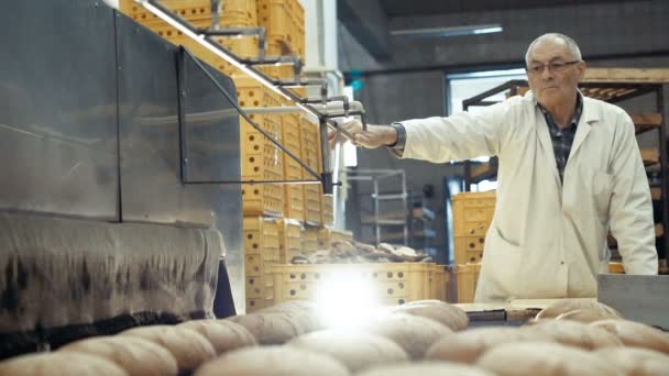 Processo de assar um monte de pães 4K — Vídeo de Stock