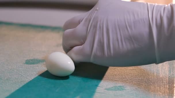 Master chef taglio uova di quaglia — Video Stock