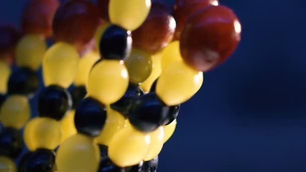 Close-up draaien van druiven op een spies — Stockvideo