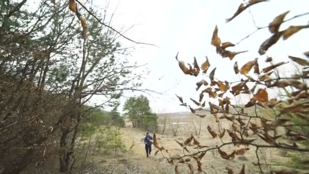 Stilig sportsman körs på naturen på morgonen — Stockvideo