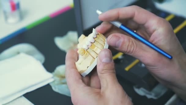 Model lidské čelisti se dělá zubař v rozlišení 4k — Stock video