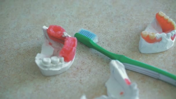 Μοντέλα από ανθρώπινη σαγόνια με δόντια βούρτσα ξαπλωμένη στον οδοντιατρικό χώρο εργασίας σε ανάλυση 4k — Αρχείο Βίντεο