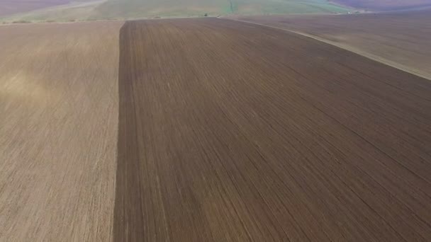 Вид с воздуха на посевные поля в 4К — стоковое видео