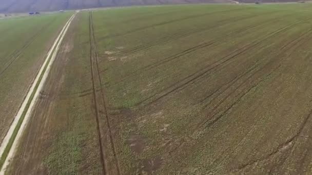 Vista aérea de campos com colza em 4K — Vídeo de Stock