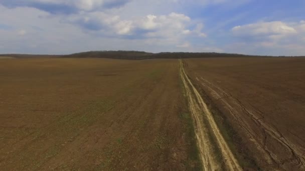 Luchtfoto van koolzaad velden met pad en landschap in 4k — Stockvideo