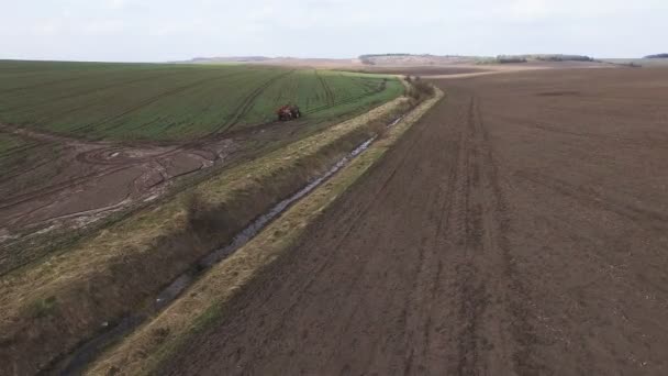 Vue aérienne du tracteur travaillant sur les champs en 4K — Video
