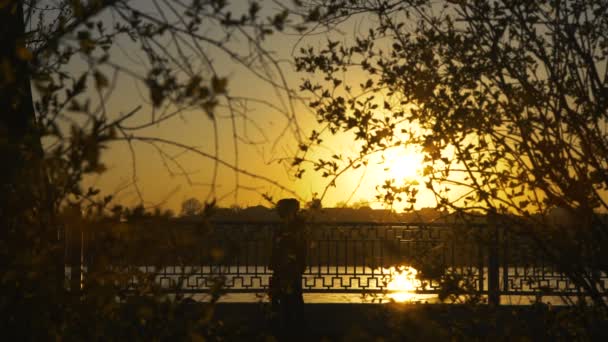 Fixed look of sunset and passers-by through the branches of tree in 4K — Stock Video