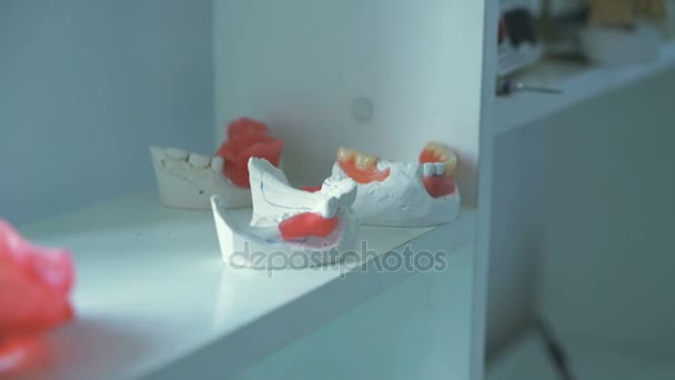 Modelos de mandíbulas humanas en el gabinete dental en 4K — Vídeo de stock