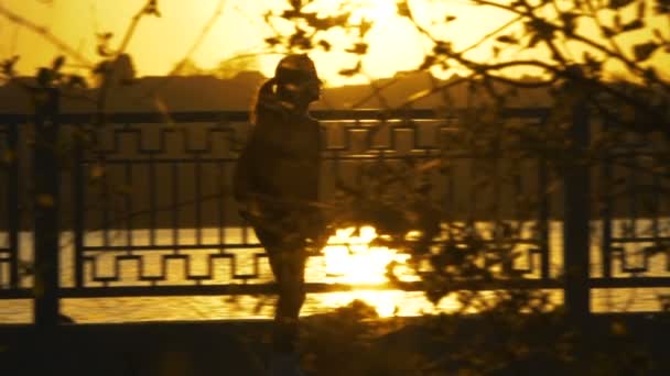 Uitzicht op de zonsondergang en voorbijgangers door de takken van de boom — Stockvideo