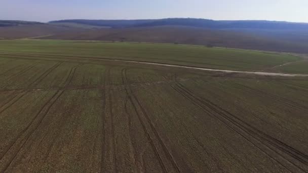 Vue aérienne des champs avec colza en 4K 