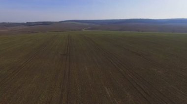 Kolza tohumu 4 k ile alanlarının havadan görünümü