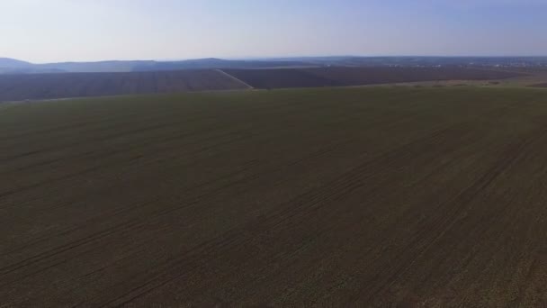Luchtfoto van koolzaad velden met pad en landschap in 4k — Stockvideo