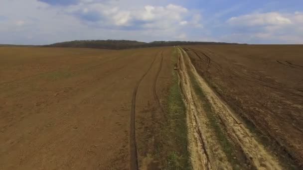 Flygfoto över raps fält med sökväg och landskap i 4k — Stockvideo